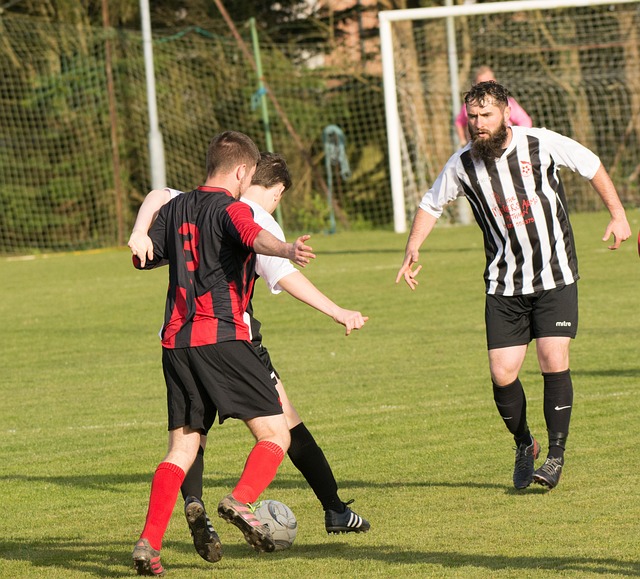 面对罗马队 面对罗马队