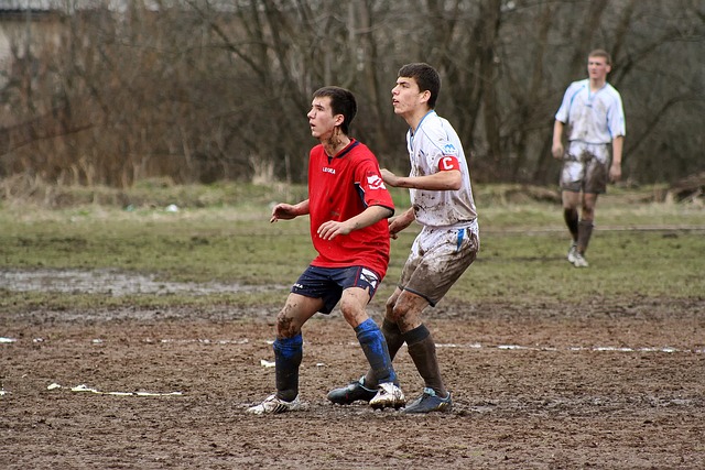 纽约时报 纽约时报