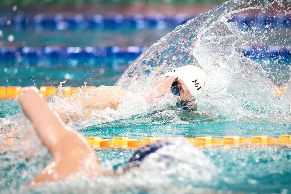 它是各个文 它是各个文