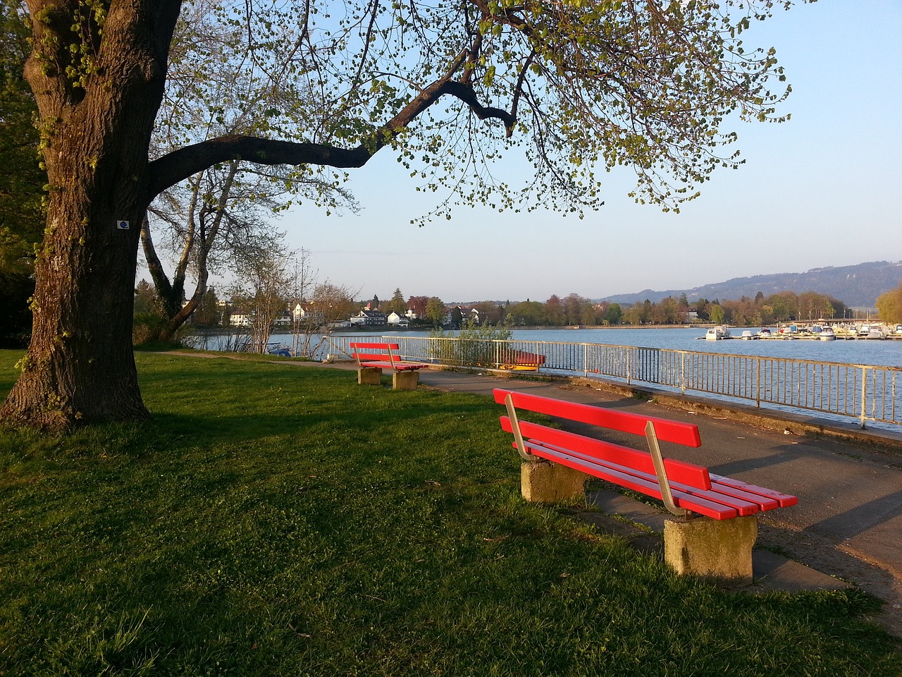 也让步行者 也让步行者