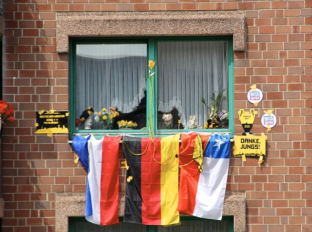 赛与展示会 赛与展示会